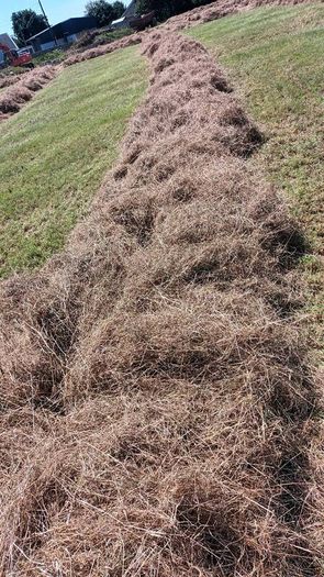 Round Hay Bales