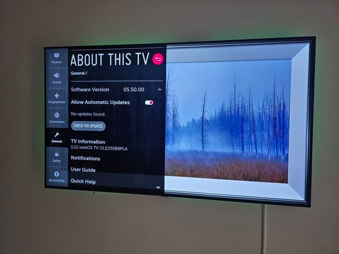 Lg Oled B9 55 Inch Tv