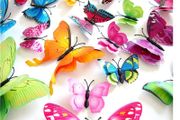 Double wing Butterflies