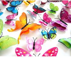Double wing Butterflies