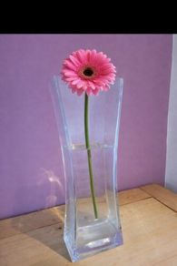 Tall Vase