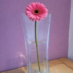 Tall Vase