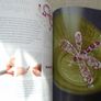 Jewellery making book, Linda Jones, Craft book, Bead and wire jewellery designs, Non fiction Image 2