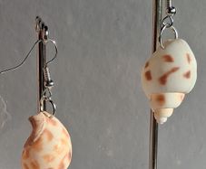 Babylonia Areolata Shells Earrings
