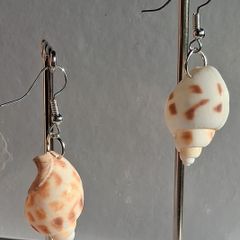Babylonia Areolata Shells Earrings