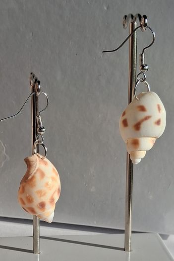 Babylonia Areolata Shells Earrings