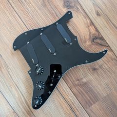 EMG DG20 Loaded Pickguard