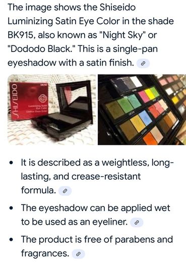 Shiseido Luminizing Satin Eye Color Black BK915 New
