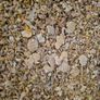 Pea/Barley combi crop, rolled and treated Image 4