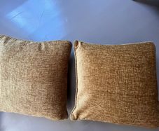 2 Gold Cushions