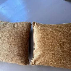 2 Gold Cushions