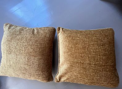 2 Gold Cushions