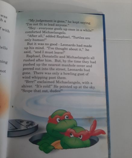 Vintage teenage ninga turtles 1990  book