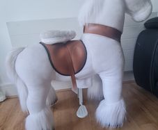 Ride on Unicorn