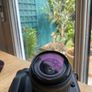 Canon M50 Mark II + 55-200mm lens Image 8