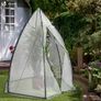 Dome Greenhouse Image 5