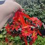 5 x Vintage Christmas Ponsettia Decorations Image 5