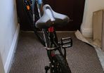 Orbea bike for sale (women/adult bike)