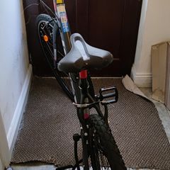Orbea bike for sale (adult bike)