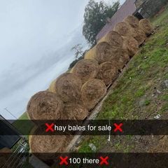 Hay