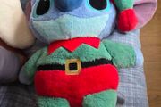 teddy