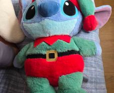 teddy
