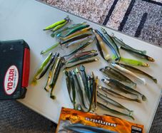 bass lures
