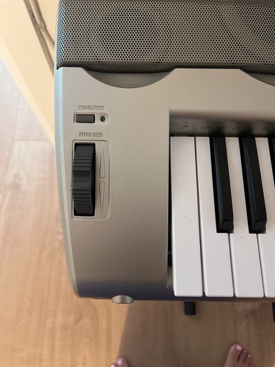 Casio WK-3300 Keyboard with adjustable stand.