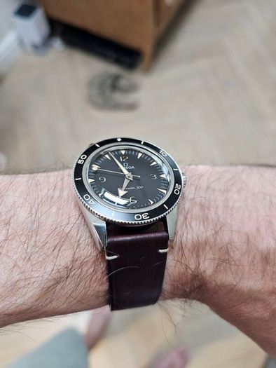 Omega seamaster