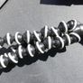 JOBY GorillaPod  Flexible Tripod Image 7