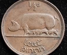 Ireland - 1933 - Half Penny - Sow - KM.2 - [2790]
