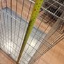 X-large DOg Crate Image 5