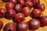27 X Faux Fake Decorative Red Apples IN A VINTAGE Jacob's Buiscuit Tin.