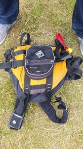life jacket Palm M size