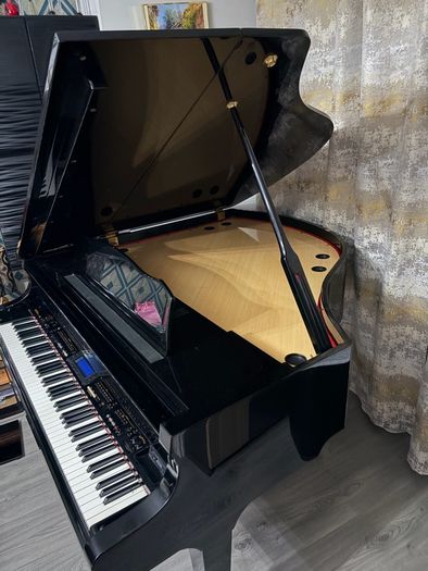 Digital Baby Grand Piano