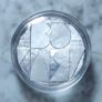 Latvia 5 Euro Silver (.999) Proof Coin 2022 - For the Freedom of Ukraine Image 2