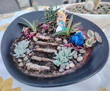 Terrarium Plate of Alice Adventures in Wonderland