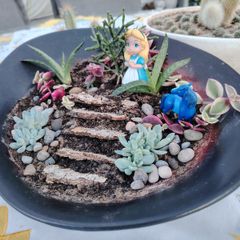 Terrarium Plate of Alice Adventures in Wonderland