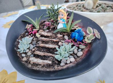Terrarium Plate of Alice Adventures in Wonderland