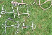 Horse Butterfly Bits
