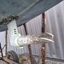 Colvic UFO 27FT Project Image 4