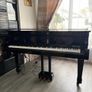 Digital Baby Grand Piano Image 2
