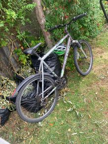 raleigh bike