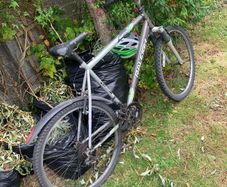 raleigh bike