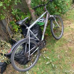 raleigh bike