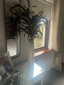 Tall Feather Arrangement