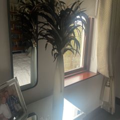 Tall Feather Arrangement