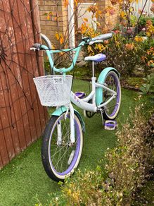 Bicycle and Gym High Bar