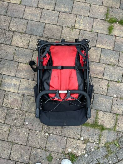 Delta Delichon Special Needs Buggy