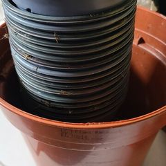 pots